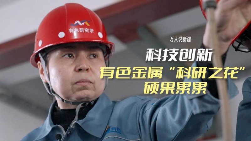 Python数据可视化报表制作：揭秘高效数据分析之道